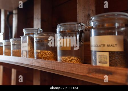 All'Hook Norton Brewery, Oxfordshire, sono esposti vasi di vari tipi di malto per l'educazione di gruppi turistici. Foto Stock