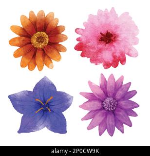 Fiori in stile acquerello isolati su sfondo bianco. Illustrazione Vettoriale
