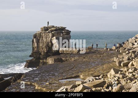 Persone che si arrampicano su grandi rocce a promontorio costiero, Pulpit Rock, Portland Bill, Isola di Portland, Dorset, Inghilterra, Regno Unito Foto Stock