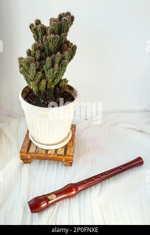 In legno marrone flauto accanto a un cactus pianta in un vaso. Strumenti a fiato Strumenti musicali su sfondo bianco con spazio di copia Foto Stock