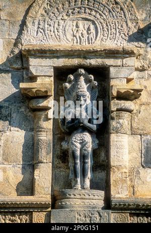 12th ° secolo Nagaraja scultura nel tempio di Airavatesvara in Darasuram vicino Kumbakonam, Tamil Nadu, India del Sud, India, Asia. Patrimonio dell'umanità dell'UNESCO Foto Stock