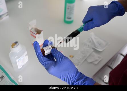 Stoccarda, Germania. 14th Feb, 2023. Un infermiere prepara un'infusione all'ospedale di Stoccarda. Credit: Bernd Weißbrod/dpa/Alamy Live News Foto Stock