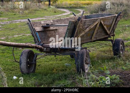 Carretto di cavallo in legno su campo verde in giardino. Foto Stock