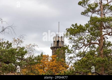 Elbsandsteingebirge im Herbst Sächsische Schweiz Foto Stock