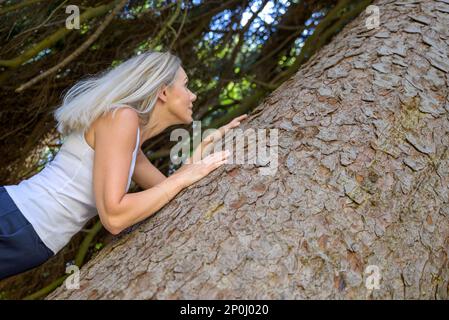 Immagine ad angolo obliquo di una donna che abbraccia un albero boscoso in un concetto ambientale Foto Stock