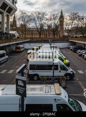 Ambulanze londinesi nei terreni del St Thomas' Hospital. Foto Stock