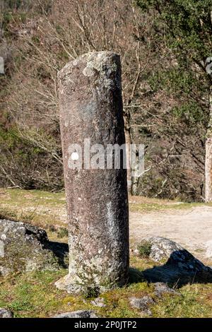 Pietra miliare del granito romano in via XVIII, strada romana tra Braga e Astorga. Parco naturale Baixa Limia-Serra do Xures, Ourense. Galizia, Spagna Foto Stock