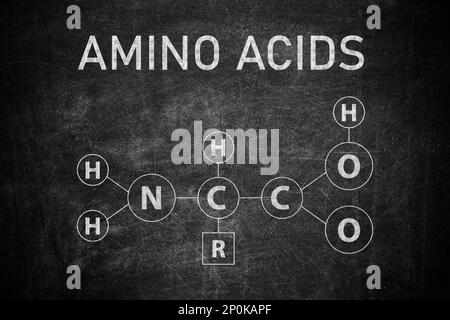 Testo AMINOACIDI e formula chimica scritto su lavagna Foto Stock