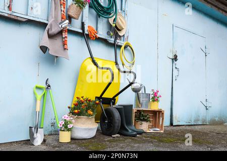 Belle piante, attrezzi da giardinaggio e accessori vicino capannone all'aperto Foto Stock