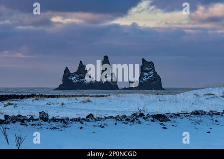 Pietre nere della spiaggia di Reynisfjara all'orizzonte della spiaggia di sabbia nera sotto un cielo drammatico e un terreno completamente innevato Foto Stock