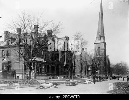 Flood Scenes, Dayton, Ohio, 1913. Cavalli morti per strada. Foto Stock