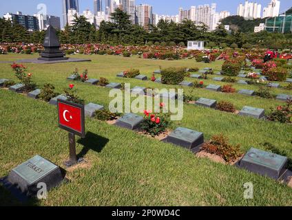 Busan, Corea del Sud - 2019 maggio: Tombe turche al cimitero commemorativo delle Nazioni Unite in Corea, dedicato alle vittime della guerra di Corea Foto Stock