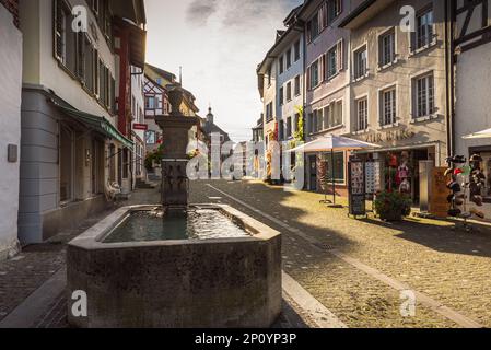 Strada con fontana e negozi nel centro storico di Stein am Rhein con il municipio in background, Canton Sciaffusa, Svizzera Foto Stock