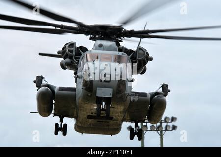 Tokunoshima, Giappone. 03rd Mar, 2023. STATI UNITI Marine' CH-53E Super Stallions partecipare all'esercizio congiunto 'Iron Fist 23' con la forza di autodifesa di terra del Giappone sull'isola di Tokunoshima, nella prefettura di Kagoshima, Giappone venerdì 3 marzo 2023. Foto di Keizo Mori/UPI Credit: UPI/Alamy Live News Foto Stock