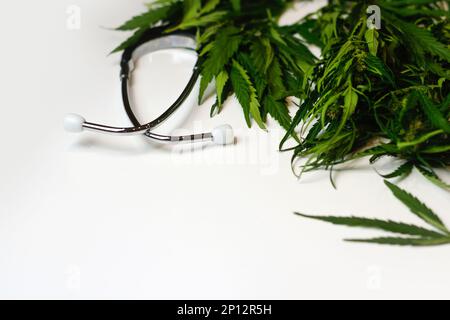 Defocalizzare la marijuana medica chiudere le gemme di cannabis con i medici stetoscopio su sfondo bianco. Concetto di medicina alternativa. Molto di marijua verde scuro Foto Stock