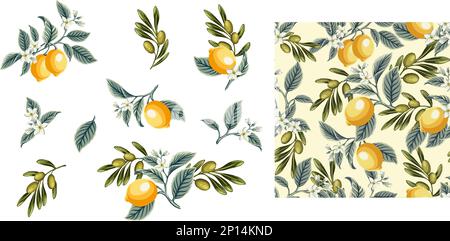 Limone, fettine di limone, olive e rametto di olive Set di illustrazione botanica disegnata a mano di limoni gialli freschi. Elemento per la progettazione di inviti, film Illustrazione Vettoriale