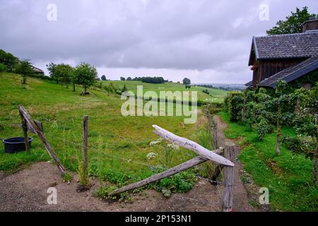 Paesaggio collinare, limburgo Paesi bassi, prato verde con balle di fieno, in primo piano una recinzione in legno con segni con il testo, appena tostato Foto Stock
