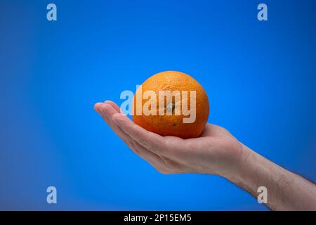Frutta d'arancia matura non sbucciata tenuta in mano da maschio caucasico. Primo piano ripresa in studio, isolata su sfondo blu. Foto Stock