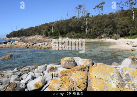 Coste incontaminate e spiagge vicino a Skeleton Bay , Binalong Tasmania Foto Stock