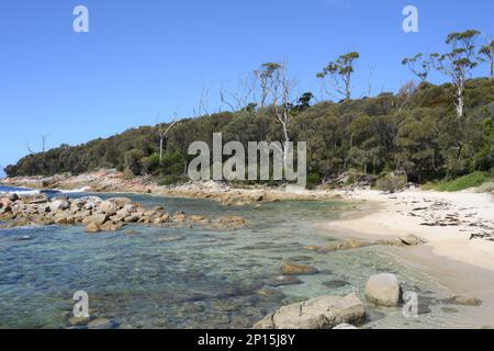 Coste incontaminate e spiagge vicino a Skeleton Bay , Binalong Tasmania Foto Stock