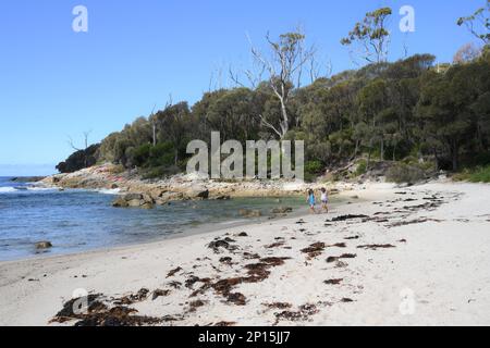 Coste incontaminate e spiagge vicino a Skeleton Bay , Binalong Tasmania Foto Stock