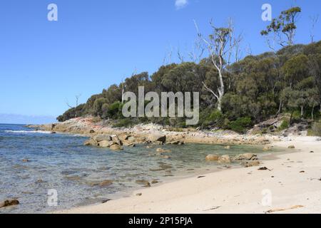 Coste incontaminate e spiagge vicino a Skeleton Bay , Binalong Tasmania Foto Stock