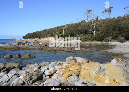 Coste incontaminate e spiagge vicino a Skeleton Bay , Binalong Tasmania Foto Stock