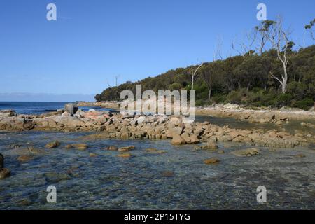 Coste incontaminate e spiagge vicino a Skeleton Bay , Binalong Tasmania Foto Stock