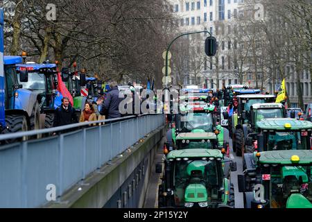 Bruxelles, Belgio. 03rd Mar, 2023. Gli agricoltori con i loro trattori provenienti dalla regione settentrionale belga delle Fiandre partecipano a una protesta contro un nuovo piano governativo regionale per limitare le emissioni di azoto, a Bruxelles, in Belgio, il 3 marzo 2023. Credit: ALEXANDROS MICHAILIDIS/Alamy Live News Foto Stock