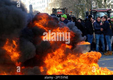 Bruxelles, Belgio. 03rd Mar, 2023. Gli pneumatici sono bruciati durante una protesta degli agricoltori della regione settentrionale belga delle Fiandre contro un nuovo piano governativo regionale per limitare le emissioni di azoto, a Bruxelles, in Belgio, il 3 marzo 2023. Credit: ALEXANDROS MICHAILIDIS/Alamy Live News Foto Stock