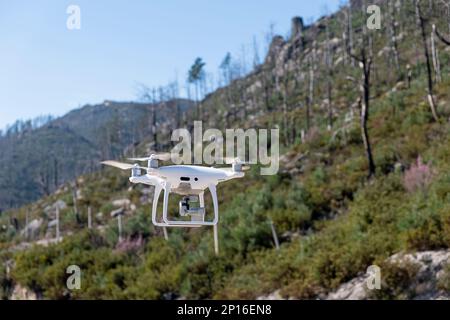 Ourense, Spagna 03-03-2023: Un drone Phantom 4 Pro in volo, alberi verdi sullo sfondo, fuoco selettivo sul drone. Prodotto dalla compa DJI Foto Stock