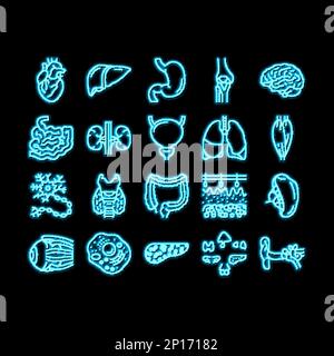 Immagine dell'icona di luminescenza al neon dell'anatomia interna dell'organo umano Illustrazione Vettoriale