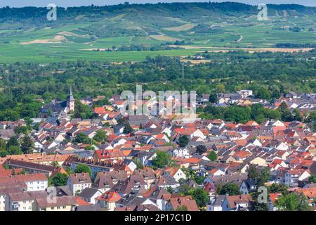 Bingen am Rhein: Distretto di Büdesheim in Bingen am Rhein in Rheintal, Rheinland-Pfalz, Renania-Palatinato, Germania Foto Stock