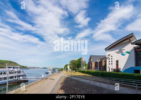 Bingen am Rhein: Promenade Rheinpromenade, centro congressi Rheintal Kongress Zentrum, fiume Rhein (Reno) a Rheintal, Rheinland-Pfalz, Renania-Pa Foto Stock