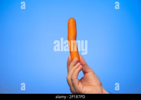 Carota cruda fresca tenuta in mano da una mano maschio caucasica isolata su sfondo blu. Foto Stock