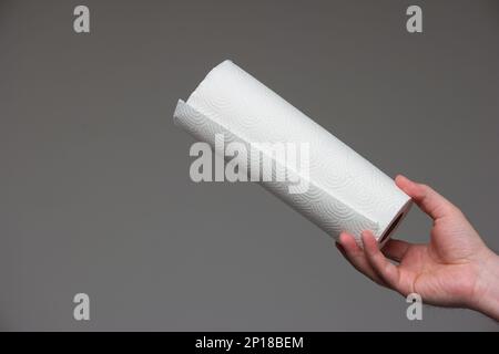 Panni in rotolo di carta da cucina tenuti in mano da uno studio mano maschio caucasico isolato su sfondo grigio. Foto Stock