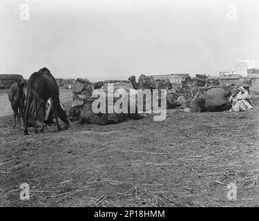 Viste di viaggio del Marocco, 1904. Foto Stock