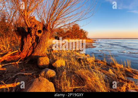 Laguna di Vistola, Polonia Foto Stock