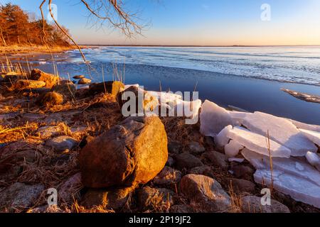 Laguna di Vistola, Polonia Foto Stock