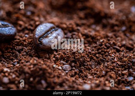 primo piano con caffè in polvere appena macinato e due chicchi di caffè Foto Stock