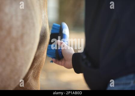 I cappellani dell'ESC del 13th hanno ospitato un ritiro per collegare i soldati con l'outdoor e la terapia animale presso la Belton Lake Outdoor Recreation Area (BLORA) Equitazione Stable, oggi. STATI UNITI Esercito CH. Jeffrey 'Padre' Whorton, il cappellano di comando dell'unità, ha detto che l'intento era quello di mettere i soldati in un ambiente diverso e togliere la mente dai loro problemi per dare loro una nuova prospettiva. "Quando si interrompe questa routine, si ha la possibilità di ripristinare", ha affermato. Egli ha continuato che permette loro di prendersi cura delle loro anime e di essere condotti di grazia e di misericordia verso gli altri nella nostra unità. "La bellezza può arrestarci", ha detto W. Foto Stock