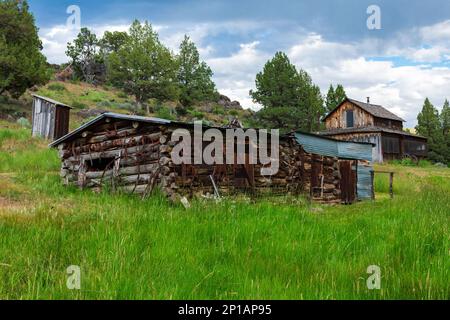 Harney County, Oregon USA - 22 GIUGNO 2022: Il Ranch Riddle Brothers, situato nella Steens Mountain cooperative Management and Protection Area consente Foto Stock