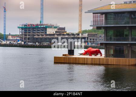 29 giugno 2021 Rotterdam; Paesi Bassi; rinoceronte rosso e architettura moderna nel porto di Rotterdam, situato sulla riva sud del fiume New Meuse Foto Stock