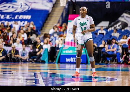 Greensboro, North Carolina, Stati Uniti. 3rd Mar, 2023. Notre Dame Fighting Irish Guard KK Bransford (14) durante le quarti di finale del torneo femminile ACC contro il North Carolina state Wolfpack al Greensboro Coliseum di Greensboro, North Carolina. (Scott Kinser/Cal Sport Media). Credit: csm/Alamy Live News Foto Stock