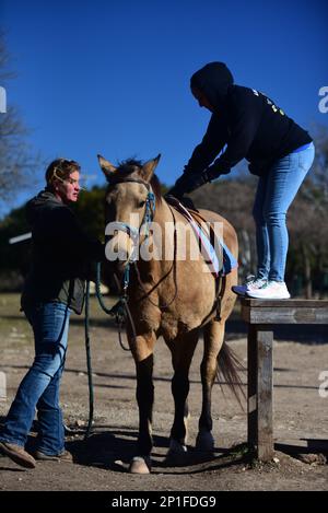 I cappellani dell'ESC del 13th hanno ospitato un ritiro per collegare i soldati con l'outdoor e la terapia animale presso la Belton Lake Outdoor Recreation Area (BLORA) Equitazione Stable, oggi. STATI UNITI Esercito CH. Jeffrey 'Padre' Whorton, il cappellano di comando dell'unità, ha detto che l'intento era quello di mettere i soldati in un ambiente diverso e togliere la mente dai loro problemi per dare loro una nuova prospettiva. "Quando si interrompe questa routine, si ha la possibilità di ripristinare", ha affermato. Egli ha continuato che permette loro di prendersi cura delle loro anime e di essere condotti di grazia e di misericordia verso gli altri nella nostra unità. "La bellezza può arrestarci", ha detto W. Foto Stock