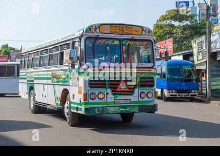 NEGOMBO, SRI LANKA - 03 FEBBRAIO 2020: Autobus Intercity numero 251 Negombo-Mirigama sulla stazione degli autobus in una mattinata di sole Foto Stock