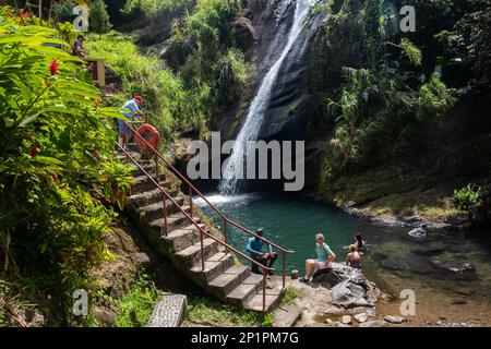 Concord Falls, Grenada - 3 2023 marzo: I turisti nuotano nell'acqua che scorre a Concord Falls, una cascata locale sull'isola dei Caraibi meridionali. Foto Stock
