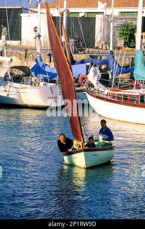 Francia. Charente Maritime (17) Ile de Re, porto di Saint-Martin-de-Re Foto Stock