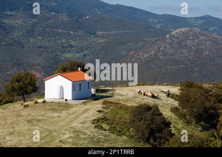 Chiesa, Agia Paraskeuh, Kalanistra, Achaia, Peloponneso, Grecia, Cappella Foto Stock