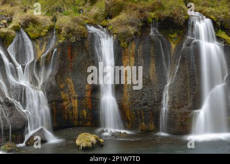 Cascate e cascate che scorrono dal campo di lava nel fiume, Hraunfossar, Hvita River, Vesturland, Islanda Foto Stock